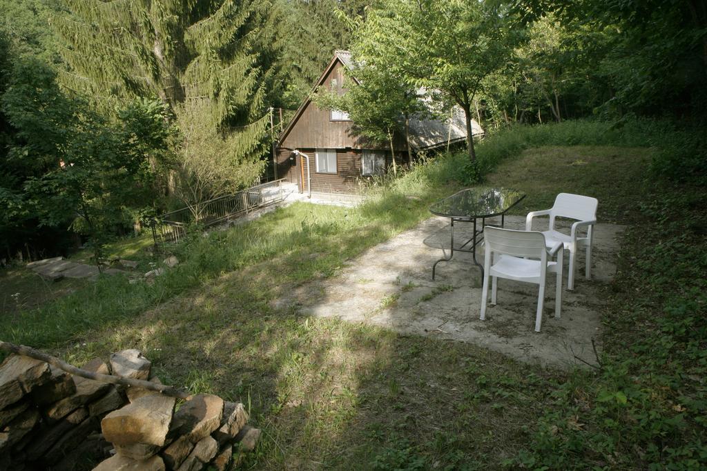 Harangvirag 36 Fahaz Villa Kismaros Buitenkant foto